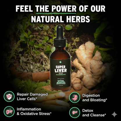 Super Liver — Daily Liver Support Drops